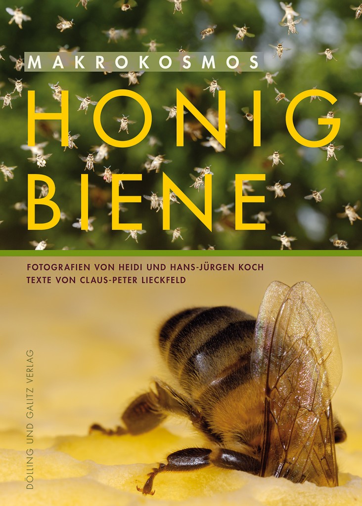 Makrokosmos Honigbiene von Claus-Peter Lieckfeld ist erschienen im Dölling und Galitz Verlag